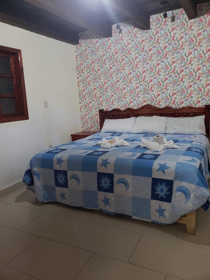Hotel Arcos Del Carmen San Cristóbal de Las Casas Buitenkant foto